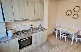 Apartament cu o camera, 43.35 mp, cartier Gruia