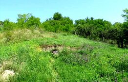 Investitie !Teren extravilan,15554 mp, zona in plina dezvoltare
