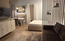 Studio de închiriat, 40 mp, grădină privată și parcare, zona Europa