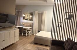 Studio de închiriat, 40 mp, grădină privată și parcare, zona Europa