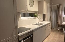 Studio de închiriat, 40 mp, grădină privată și parcare, zona Europa