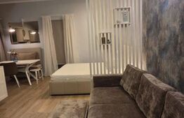 Studio de închiriat, 40 mp, grădină privată și parcare, zona Europa