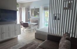 Studio de închiriat, 40 mp, grădină privată și parcare, zona Europa