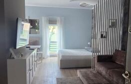 Studio de închiriat, 40 mp, grădină privată și parcare, zona Europa