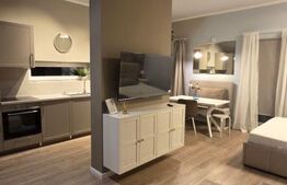 Studio de închiriat, 40 mp, grădină privată și parcare, zona Europa