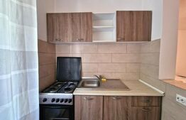 Apartament cu 1 cameră, 50 mp, parcare, zona Oașului - Iris 