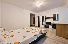 Apartament cu 1 cameră, 50 mp, parcare, zona Oașului - Iris 