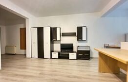 Apartament cu 1 cameră, 50 mp, parcare, zona Oașului - Iris 