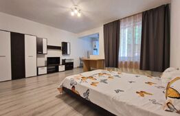 Apartament cu 1 cameră, 50 mp, parcare, zona Oașului - Iris 