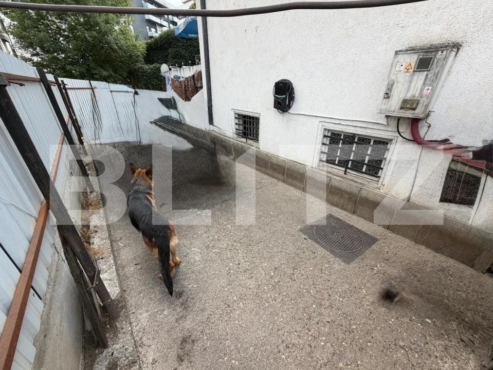 Casa de vânzare 4 camere Semicentral - 203631CV | BLITZ Cluj-Napoca | Poza2