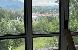 Casa de vanzare, 290 mp, teren 350 mp, zona Tineretului