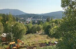 Casa de vanzare, 290 mp, teren 350 mp, zona Tineretului