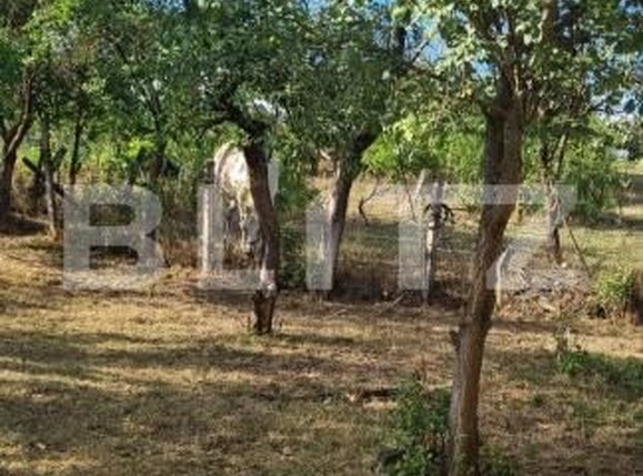 Casa de vânzare 4 camere Ceanu Mare - 203639CV | BLITZ Cluj-Napoca | Poza2