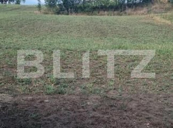 Casa de vânzare 4 camere Ceanu Mare - 203639CV | BLITZ Cluj-Napoca | Poza10