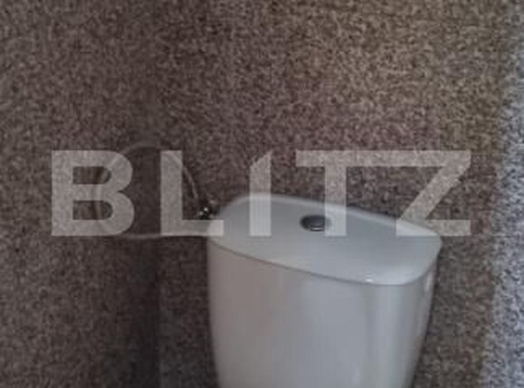 Casa de vânzare 4 camere Ceanu Mare - 203639CV | BLITZ Cluj-Napoca | Poza9