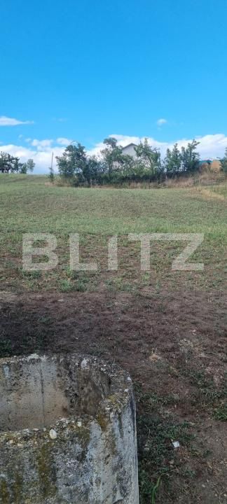 Casa de vânzare 4 camere Ceanu Mare - 203639CV | BLITZ Cluj-Napoca | Poza10