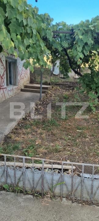 Casa de vânzare 4 camere Ceanu Mare - 203639CV | BLITZ Cluj-Napoca | Poza4