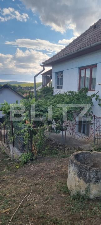 Casa de vânzare 4 camere Ceanu Mare - 203639CV | BLITZ Cluj-Napoca | Poza5