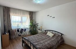 Apartament 2 camere, aer conditionat, zona Terra 