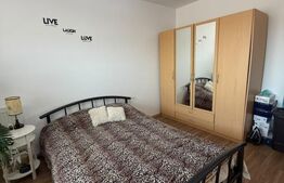 Apartament 2 camere, aer conditionat, zona Terra 