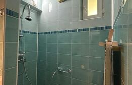 Apartament 2 camere, semidecomandat, pet friendly, Piata Abator