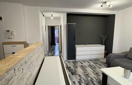 Apartament 2 camere 44mp, parcare, zona Tineretului 