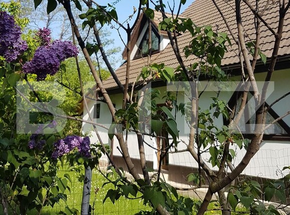 Casa de vânzare 9 camere Bran - 203839CV | BLITZ Brașov | Poza2