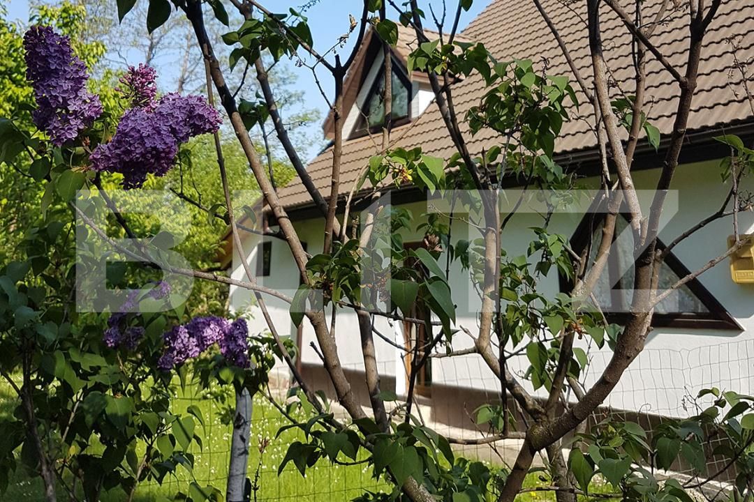 Casa de vânzare 9 camere Bran - 203839CV | BLITZ Brașov | Poza2