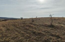 Teren extravilan 6 ha, Stejeris, com Moldovenesti