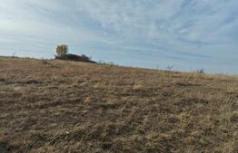 Teren extravilan 6 ha, Stejeris, com Moldovenesti