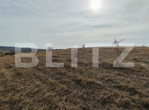Teren de vânzare Moldovenesti - 203849TV | BLITZ Cluj-Napoca | Poza4