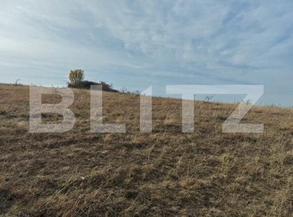 Teren de vânzare Moldovenesti - 203849TV | BLITZ Cluj-Napoca | Poza6