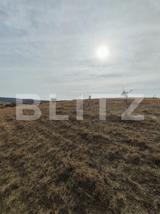 Teren de vânzare Moldovenesti - 203849TV | BLITZ Cluj-Napoca | Poza4