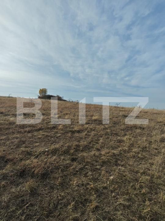 Teren de vânzare Moldovenesti - 203849TV | BLITZ Cluj-Napoca | Poza6