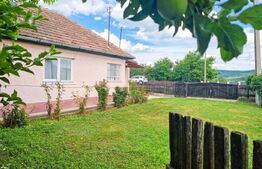 Casa 58 mp, cu teren 8290 mp intravilan, Iclod