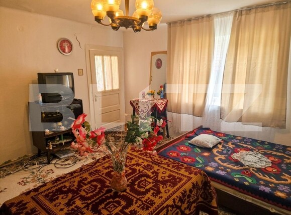 Casa de vânzare 2 camere Iclod - 203853CV | BLITZ Cluj-Napoca | Poza9