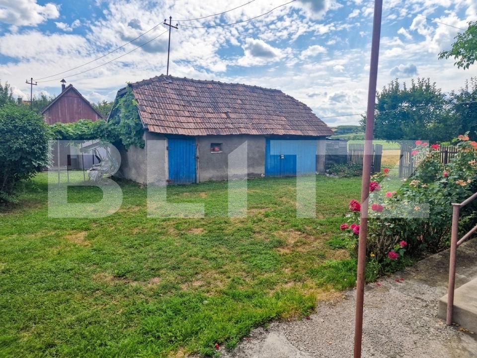 Casa de vânzare 2 camere Iclod - 203853CV | BLITZ Cluj-Napoca | Poza10