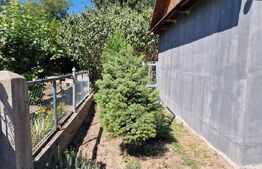 Casa locuibila 81 mp, teren 400mp in loc Bontida
