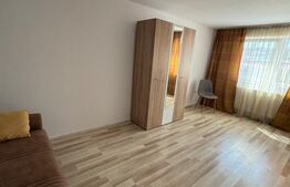 Apartament  3 camere, petfriendly, zona Eroilor