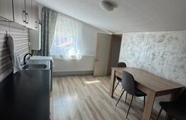 Apartament  3 camere, zona Eroilor, petfriendly