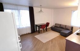 Apartament modern 2 camere, Zorilor