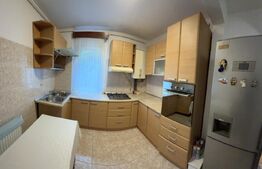 Apartament 2 camere, 50 mp, zona Gemenii