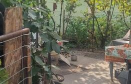 Casa cu 2 camere curte si gradina