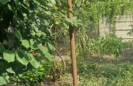 Casa cu 2 camere curte si gradina