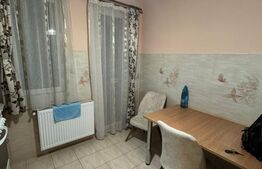 Apartament 2 camere, decomandat, parcare, zona Teilor