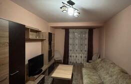 Apartament 2 camere, decomandat, parcare, zona Teilor