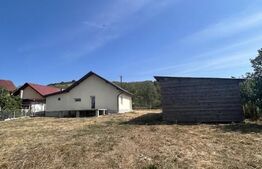 Casă individuală, 100 mp utili, 700 mp teren, finisată, In Petresti