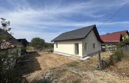 Casă individuală, 100 mp utili, 700 mp teren, finisată, In Petresti
