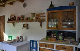 Casa de vacanta zona superba