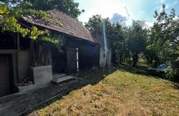 Casa traditionala, teren generos, 1700mp, Rediu